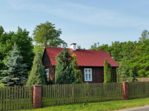 Нова Воля
